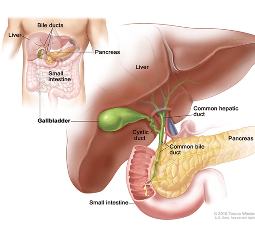 Benefits and Risks of Thoracoscopy Surgery: What Patients Need to Know