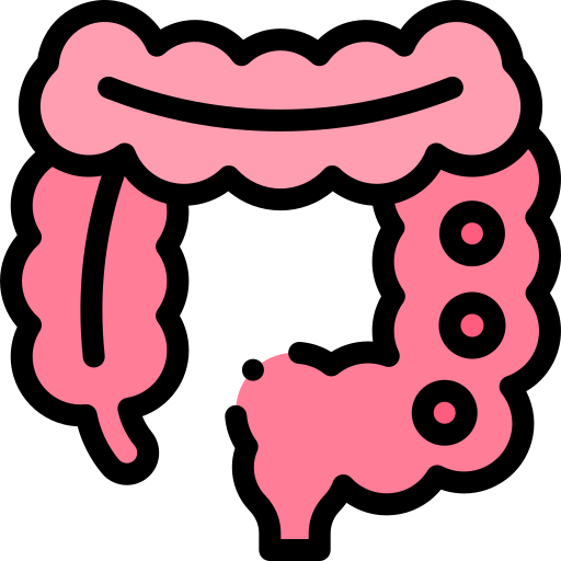 Colon Cancer icon